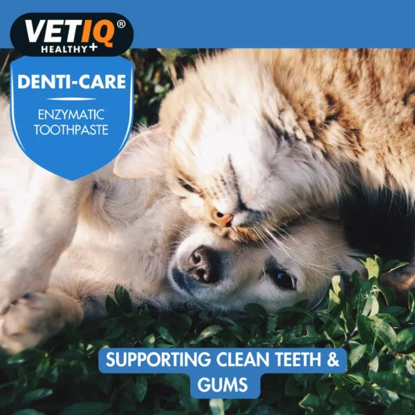 VETIQ Denti‑Care Enzymatic Toothpaste – Plaque & Fresh Breath Formula (70g, UK Brand)