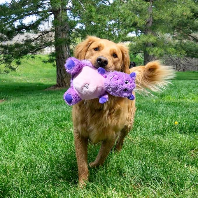 KONG Knots Belly – Hippo Plush Toy with Internal Rope Skeleton & Squeaker