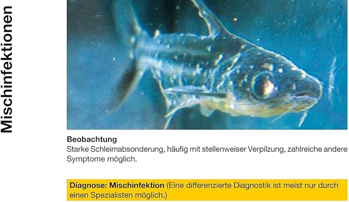 Sera Omnipur – 50ml Aquarium Treatment (Broad‑Spectrum Disease Control for Freshwater Fish)