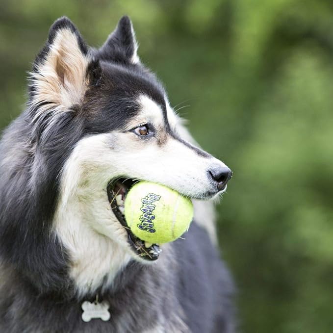 KONG SqueakAir Ball – Large Tennis‑Ball Style Squeaky Fetch Toy for Dogs