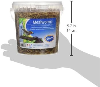 Duvo+ Dried Mealworms – High‑Protein Reptile & Bird Treats (200g)