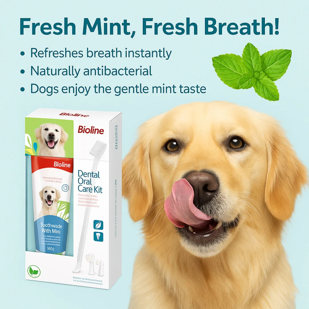 Bioline Dental Oral Care Kit – Mint Toothpaste for Dogs & Cats (100g, German Brand)