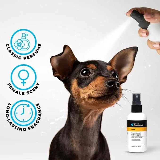 Groom Professional Fragrance — Diva Cologne for Female Dogs, Salon‑Quality Exotic Aroma (200ml)