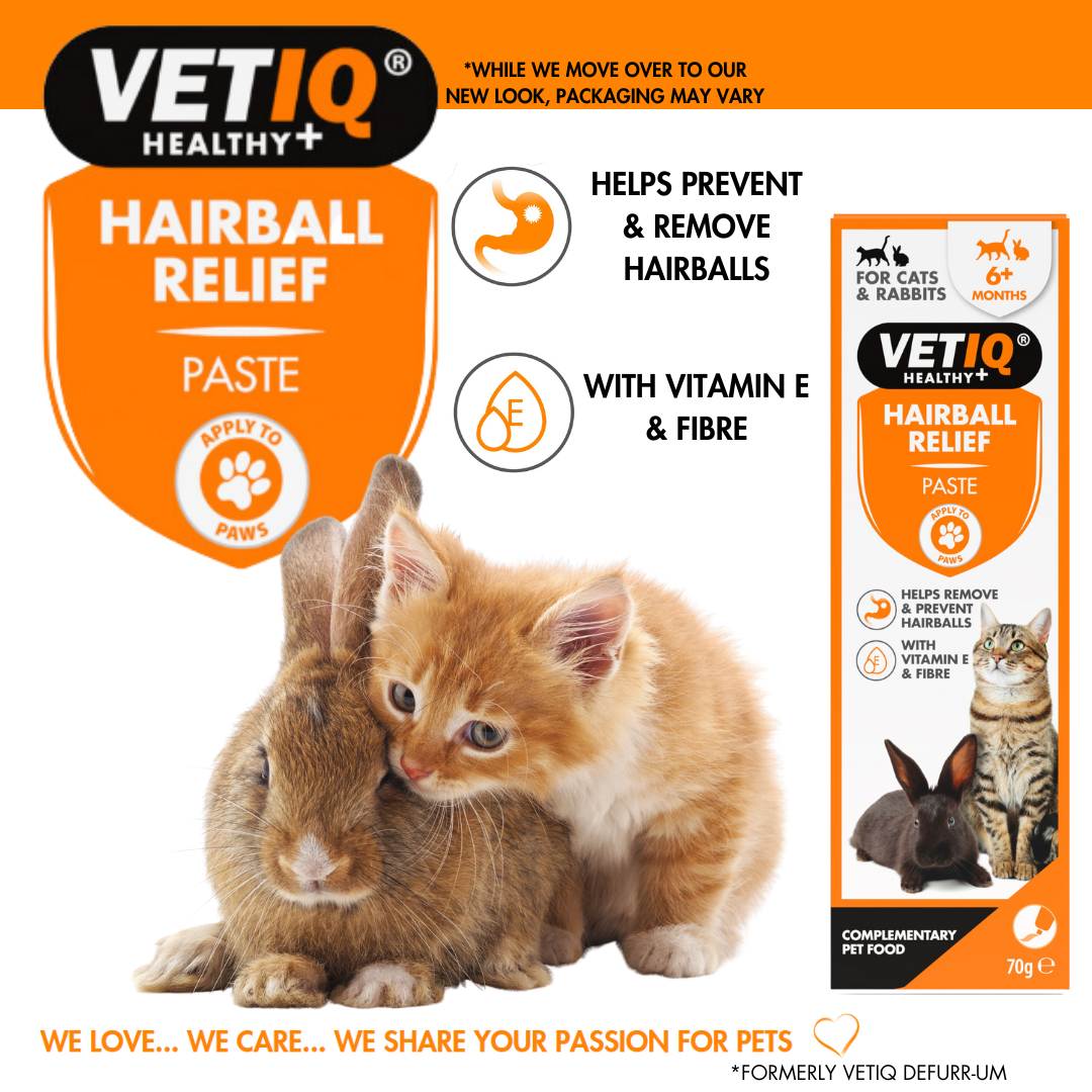 VETIQ Hairball Relief Paste – Digestive Support for Cats (70g, UK Brand)