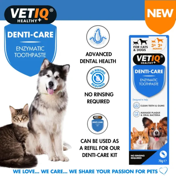 VETIQ Denti‑Care Enzymatic Toothpaste – Plaque & Fresh Breath Formula (70g, UK Brand)