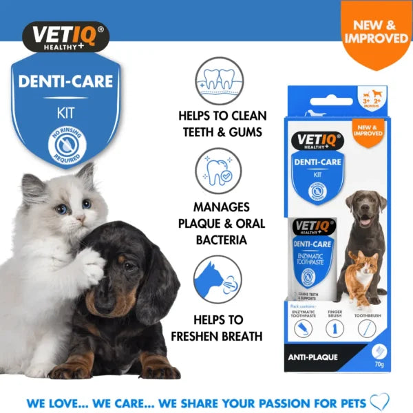VENTIQ Health+ Denti Care Kit – Mint Toothpaste & Dual Brush Set (70g)