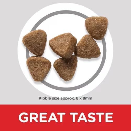 Hill's Science Plan Kitten Food with Chicken 1.5kg