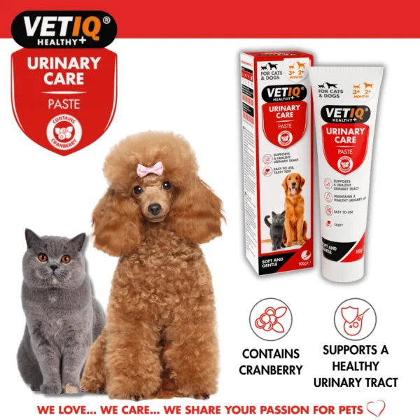 VETIQ Urinary Care Paste – Cranberry & Bladder Support Formula (100g, UK Brand)