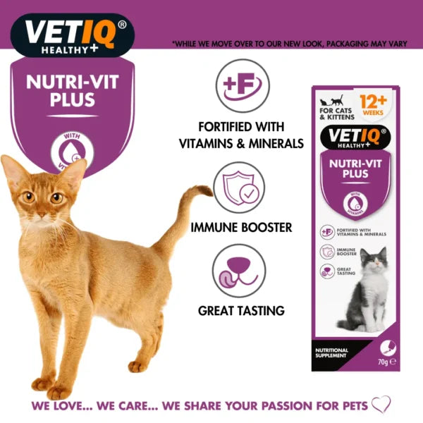 VETIQ Nutri‑Vit Plus – High‑Energy Multivitamin Paste for Cats & Dogs (70g, UK Formula)