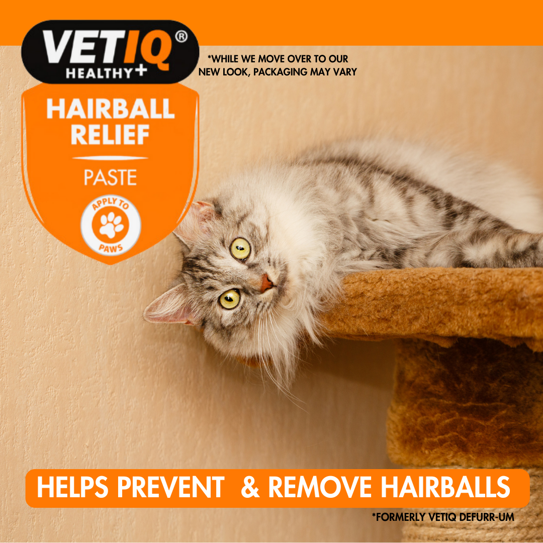 VETIQ Hairball Relief Paste – Digestive Support for Cats (70g, UK Brand)