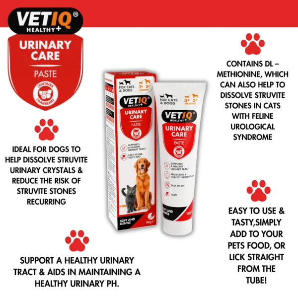 VETIQ Urinary Care Paste – Cranberry & Bladder Support Formula (100g, UK Brand)