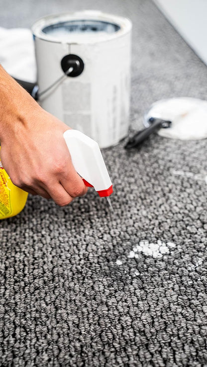 Goof Off Professional Strength Paint Remover – 12oz Carpet Stain Eliminator Zipicka