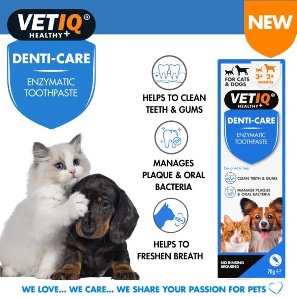 VETIQ Denti‑Care Enzymatic Toothpaste – Plaque & Fresh Breath Formula (70g, UK Brand)
