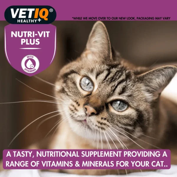 VETIQ Nutri‑Vit Plus – High‑Energy Multivitamin Paste for Cats & Dogs (70g, UK Formula)