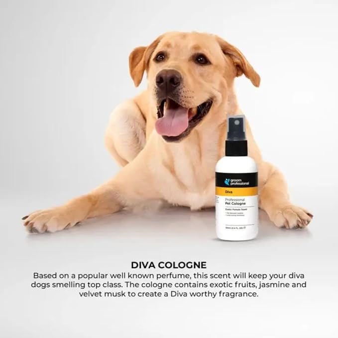 Groom Professional Fragrance — Diva Cologne for Female Dogs, Salon‑Quality Exotic Aroma (200ml)