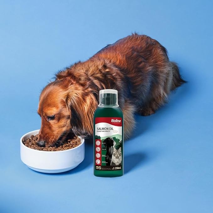 Bioline Norwegian Salmon Oil – Omega‑Rich Skin & Coat Supplement for Cats & Dogs (250ml)