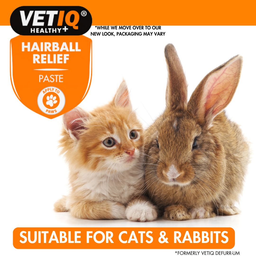 VETIQ Hairball Relief Paste – Digestive Support for Cats (70g, UK Brand)