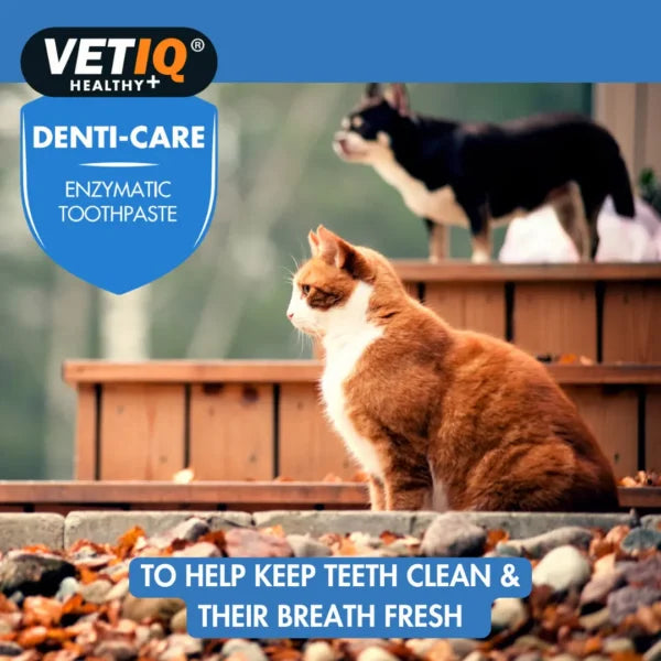 VETIQ Denti‑Care Enzymatic Toothpaste – Plaque & Fresh Breath Formula (70g, UK Brand)