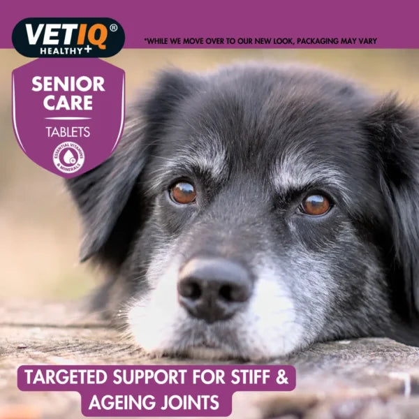 VENTIQ Senior Care Tablets – Daily Joint & Vitality Support for Aging Pets (45 Tablets)