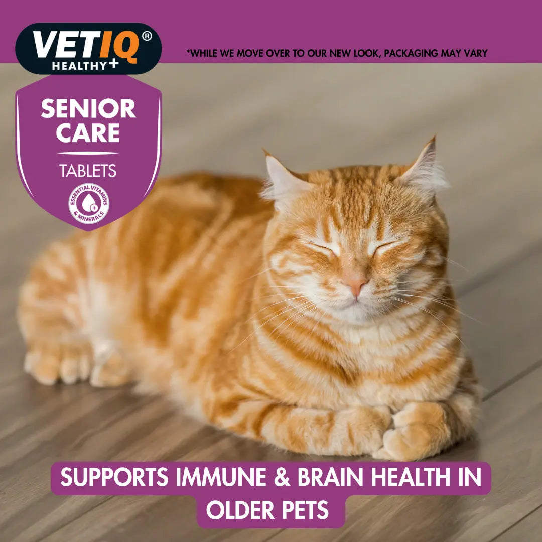 VENTIQ Senior Care Tablets – Daily Joint & Vitality Support for Aging Pets (45 Tablets)