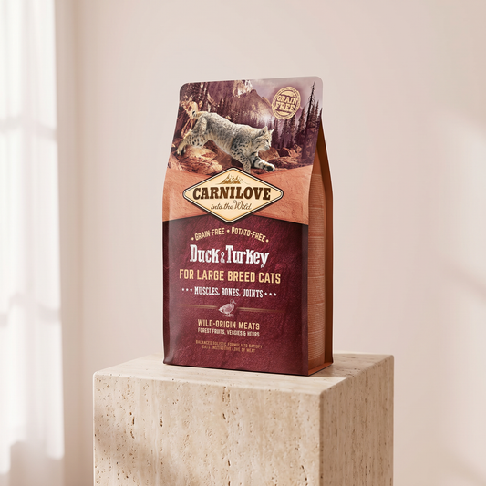 Carnilove Duck and Turkey Dry Food for Large Breed Adult Cats styled on travertine pedestal, blush studio