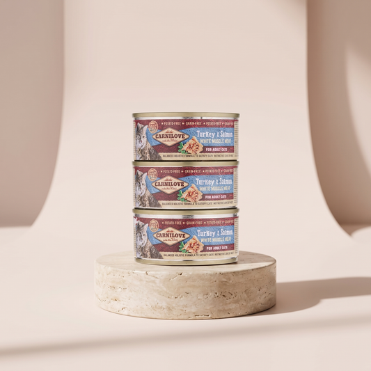 Carnilove Turkey and Salmon Wet Food for Adult Cats styled on travertine pedestal, blush studio