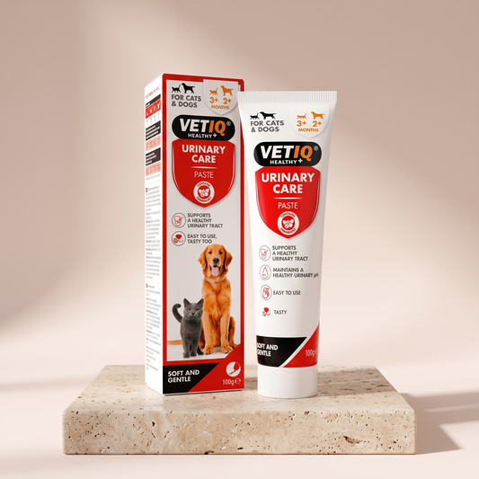 VETIQ Urinary Care Paste cranberry bladder support styled on travertine pedestal, blush studio