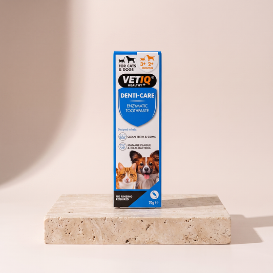VETIQ Denti Care Enzymatic Toothpaste styled on travertine pedestal, blush studio