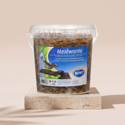 Duvo dried mealworms reptile and bird treats styled on travertine pedestal, blush studio